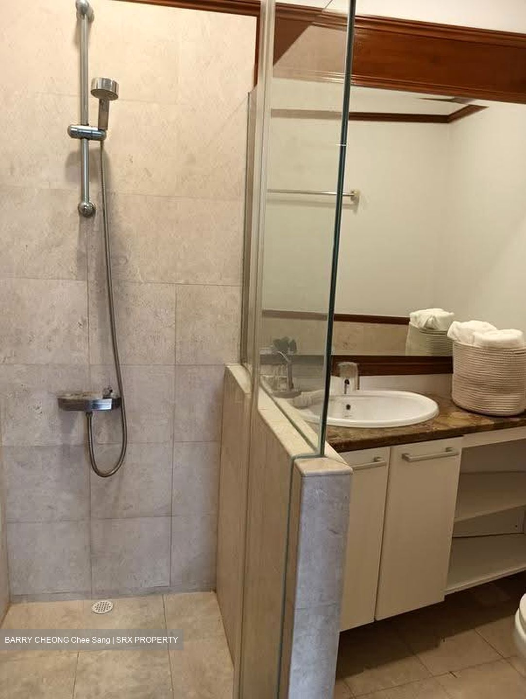 The Draycott (D10), Apartment #611359971